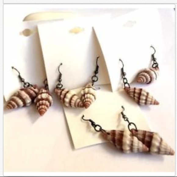 Conch Sea Life Shell Earrings Cerith Pierced Brown White Island Beach Natural - Picture 3 of 11